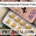 Anaconda Strong Formula Pills 41
